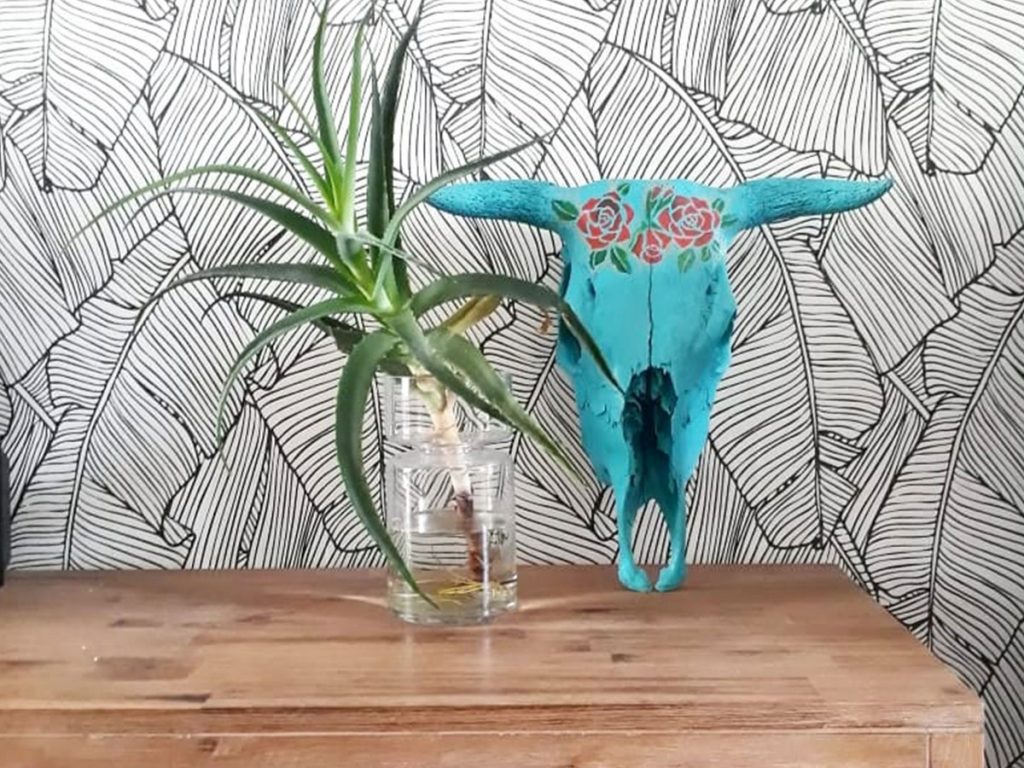 Buy Kop Skull Art Online Jaqueline Chantler