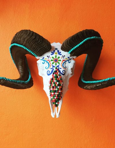 Buy Kop Skull Art Online Jaqueline Chantler