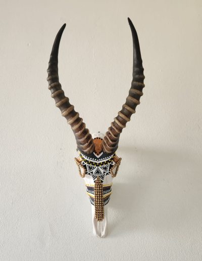 Buy Kop Skull Art Online Jaqueline Chantler