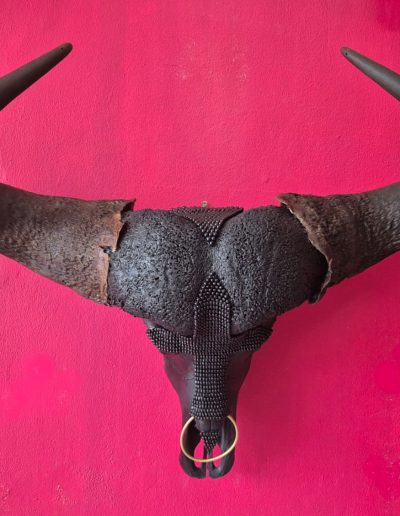 Buy Kop Skull Art Online Jaqueline Chantler